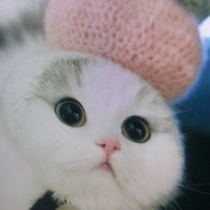 Meet your Posher, Lorena